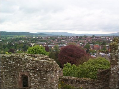 Ludlow View from Castle